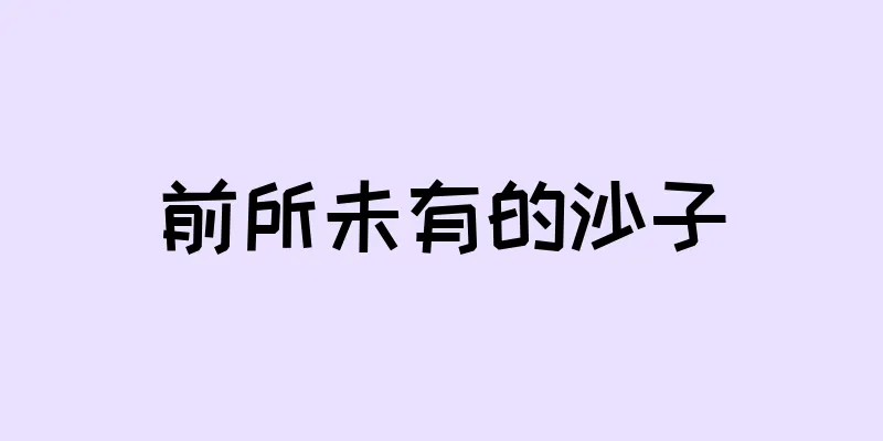 前所未有的沙子
