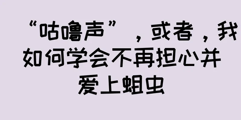 “咕噜声”，或者，我如何学会不再担心并爱上蛆虫