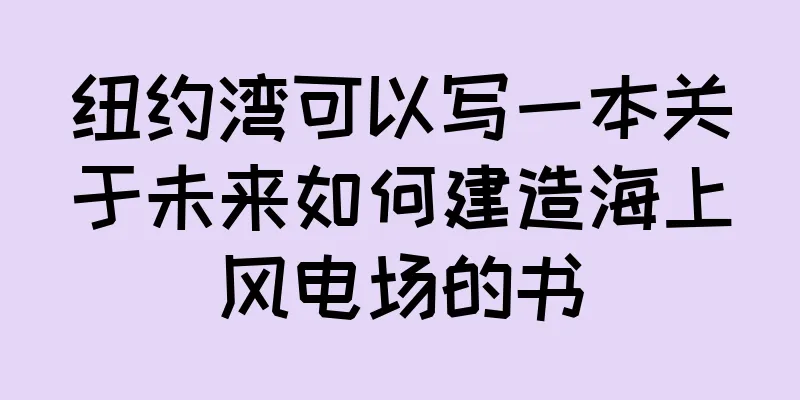 纽约湾可以写一本关于未来如何建造海上风电场的书