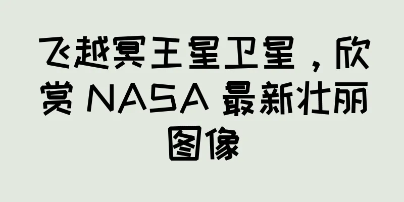 飞越冥王星卫星，欣赏 NASA 最新壮丽图像