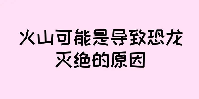 火山可能是导致恐龙灭绝的原因