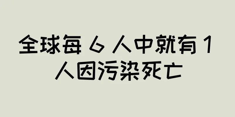 全球每 6 人中就有 1 人因污染死亡