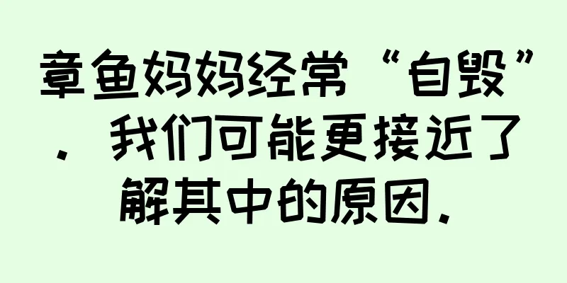 章鱼妈妈经常“自毁”。我们可能更接近了解其中的原因。