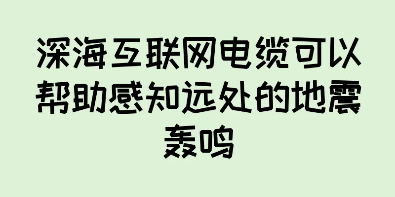 深海互联网电缆可以帮助感知远处的地震轰鸣
