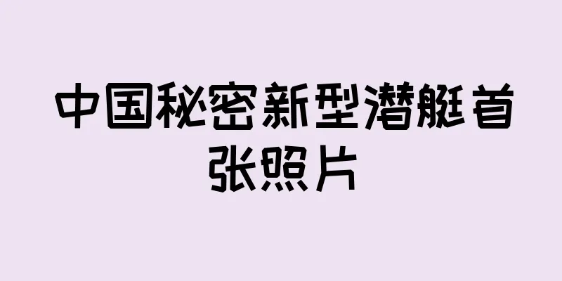 中国秘密新型潜艇首张照片