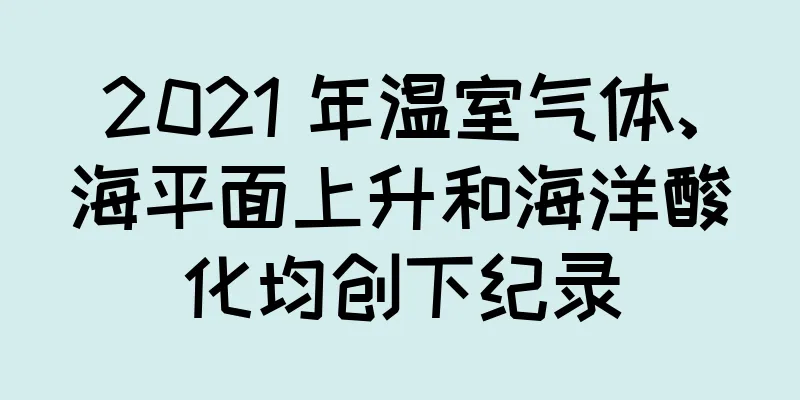 2021 年温室气体、海平面上升和海洋酸化均创下纪录