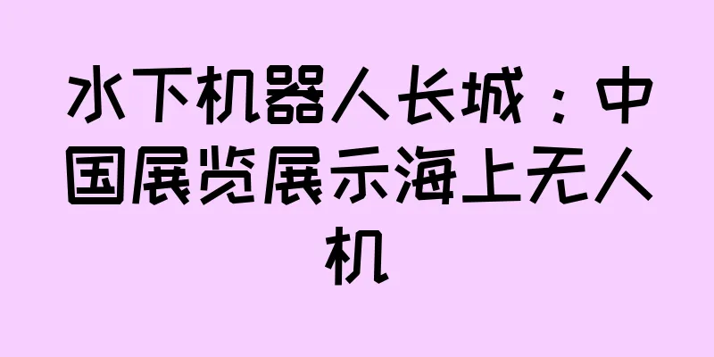 水下机器人长城：中国展览展示海上无人机