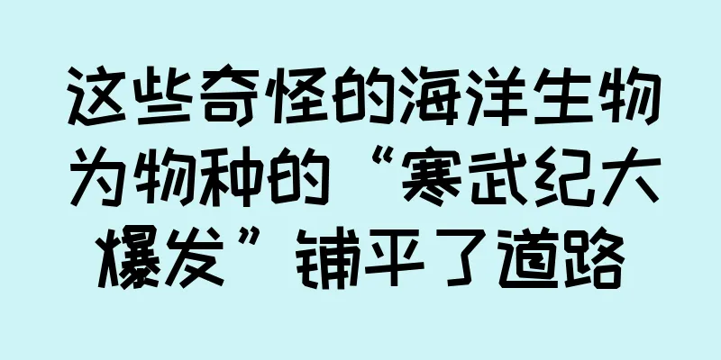 这些奇怪的海洋生物为物种的“寒武纪大爆发”铺平了道路