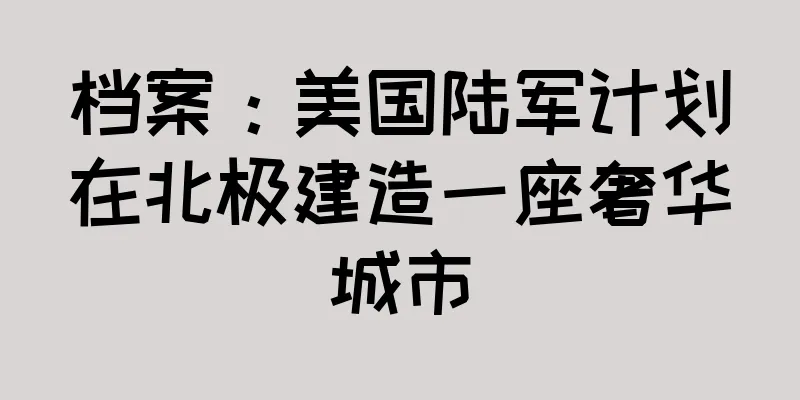 档案：美国陆军计划在北极建造一座奢华城市