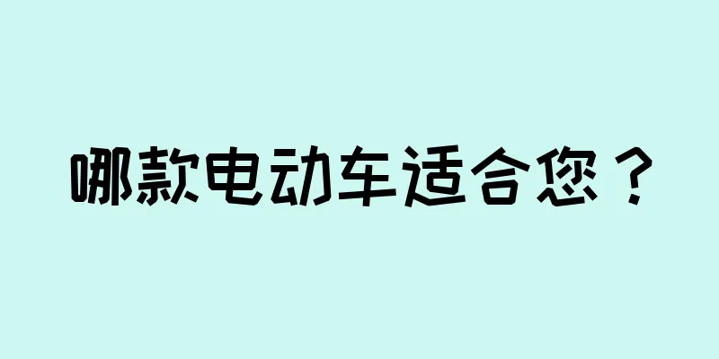 哪款电动车适合您？