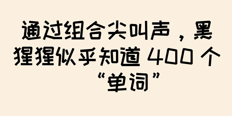 通过组合尖叫声，黑猩猩似乎知道 400 个“单词”
