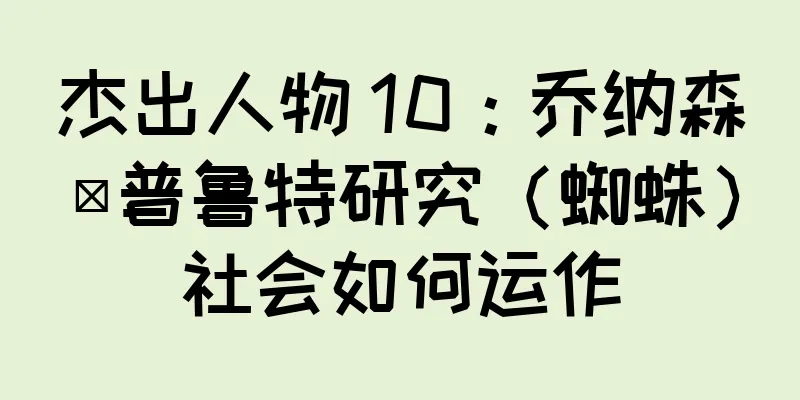 杰出人物 10：乔纳森·普鲁特研究（蜘蛛）社会如何运作