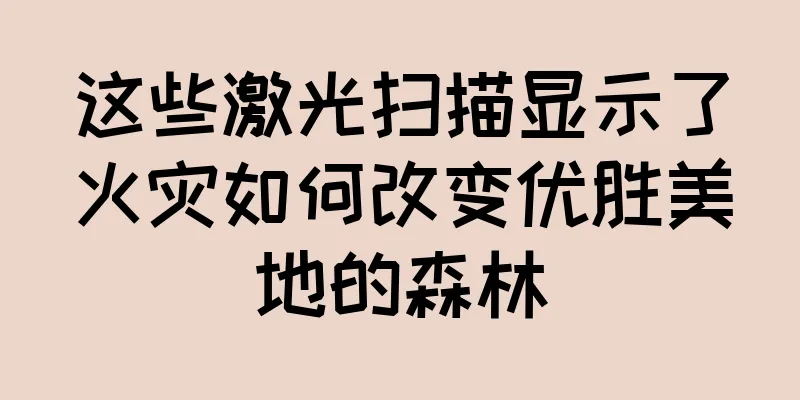 这些激光扫描显示了火灾如何改变优胜美地的森林