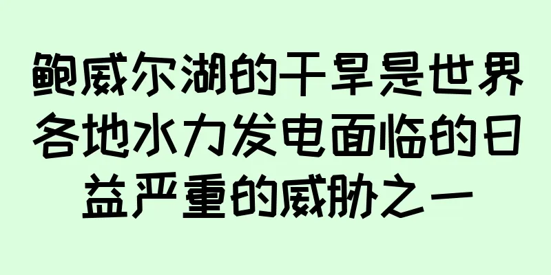 鲍威尔湖的干旱是世界各地水力发电面临的日益严重的威胁之一