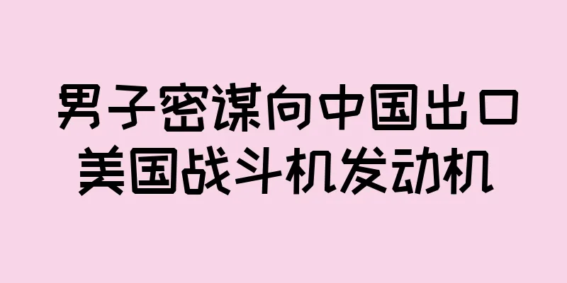 男子密谋向中国出口美国战斗机发动机