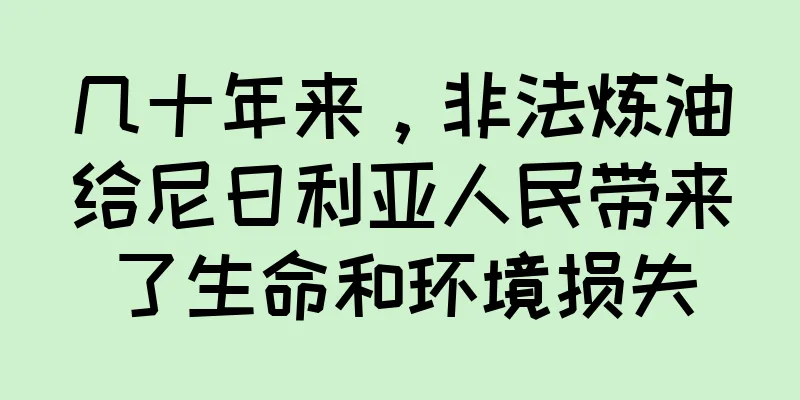 几十年来，非法炼油给尼日利亚人民带来了生命和环境损失
