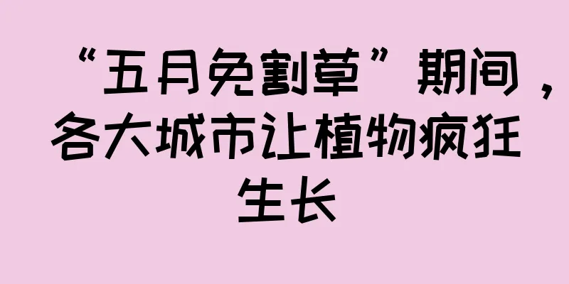 “五月免割草”期间，各大城市让植物疯狂生长