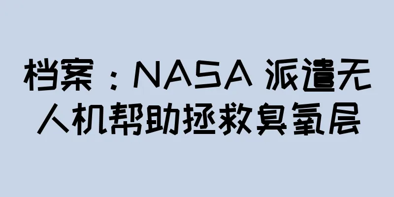 档案：NASA 派遣无人机帮助拯救臭氧层
