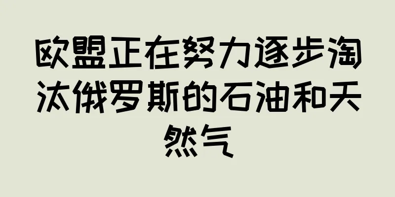 欧盟正在努力逐步淘汰俄罗斯的石油和天然气