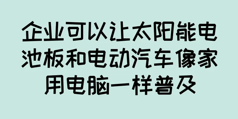 企业可以让太阳能电池板和电动汽车像家用电脑一样普及