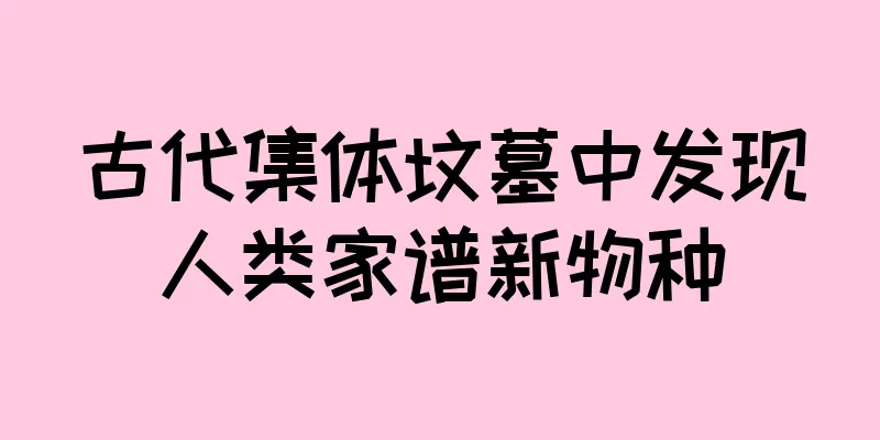 古代集体坟墓中发现人类家谱新物种