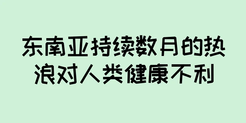 东南亚持续数月的热浪对人类健康不利