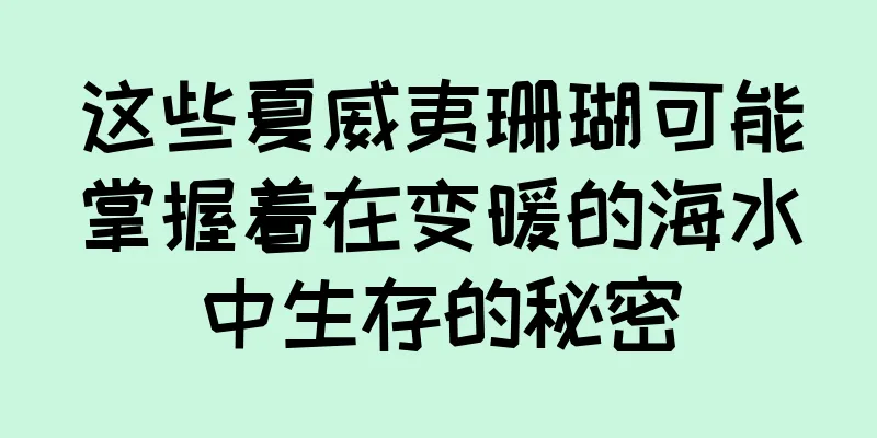 这些夏威夷珊瑚可能掌握着在变暖的海水中生存的秘密