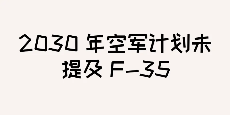 2030 年空军计划未提及 F-35