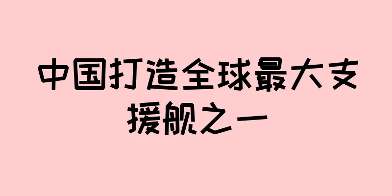 中国打造全球最大支援舰之一