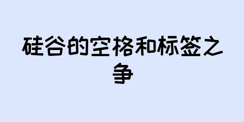硅谷的空格和标签之争