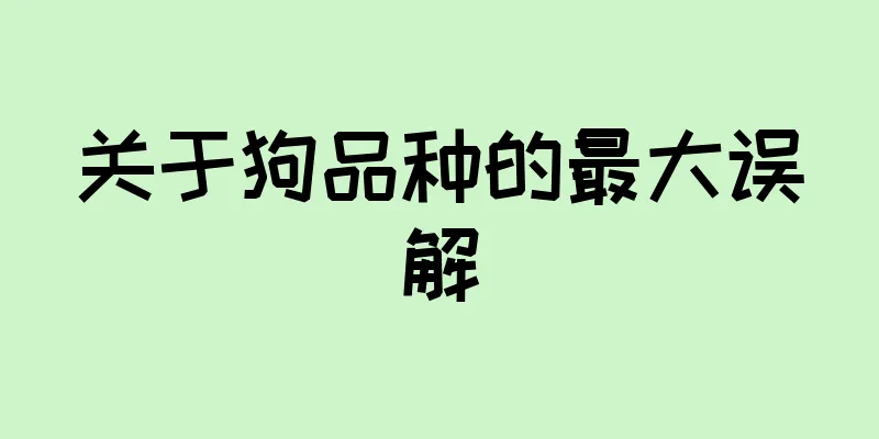 关于狗品种的最大误解