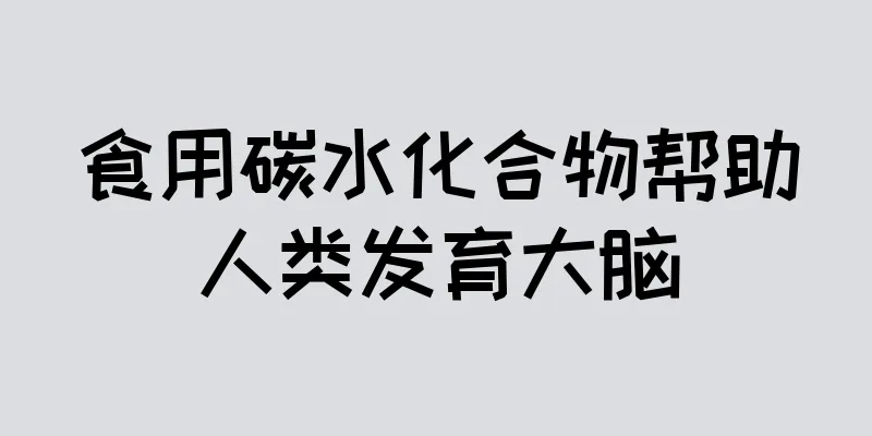 食用碳水化合物帮助人类发育大脑