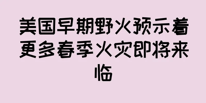 美国早期野火预示着更多春季火灾即将来临