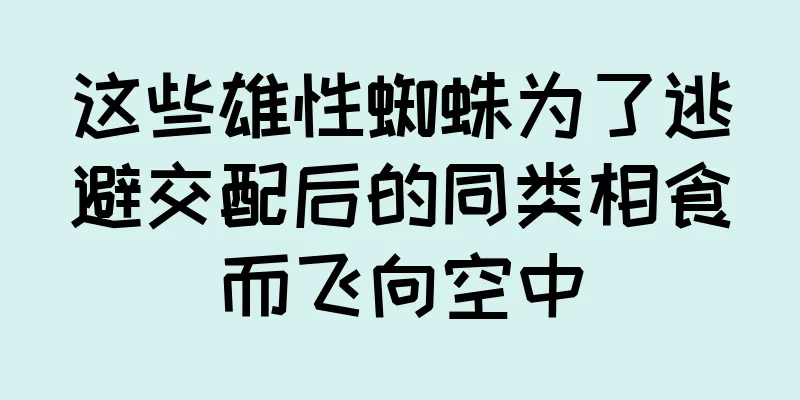 这些雄性蜘蛛为了逃避交配后的同类相食而飞向空中