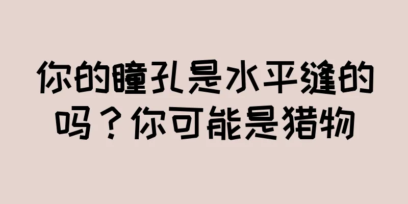 你的瞳孔是水平缝的吗？你可能是猎物