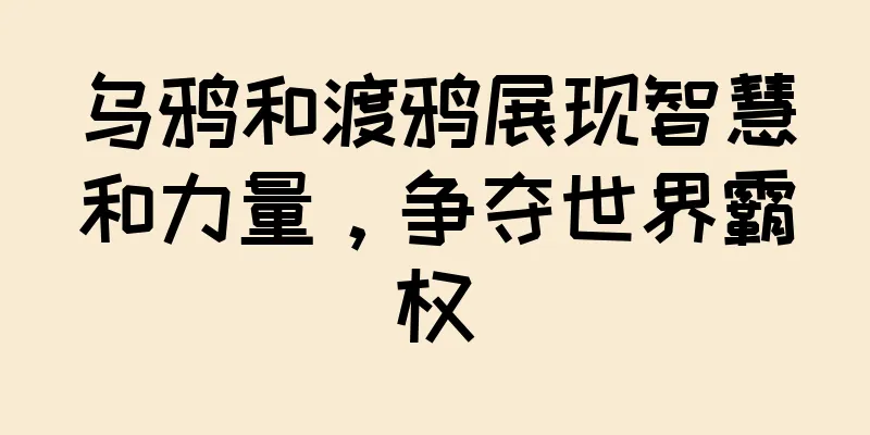 乌鸦和渡鸦展现智慧和力量，争夺世界霸权