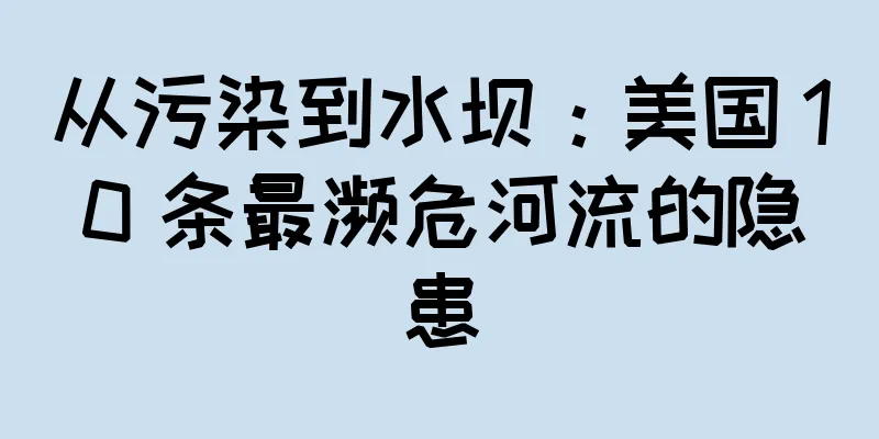 从污染到水坝：美国 10 条最濒危河流的隐患