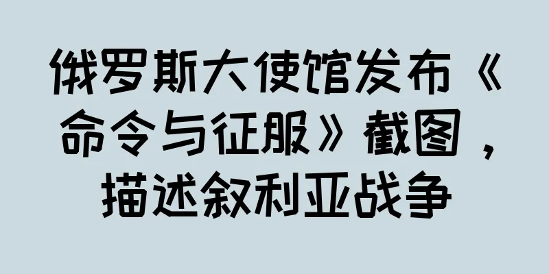 俄罗斯大使馆发布《命令与征服》截图，描述叙利亚战争