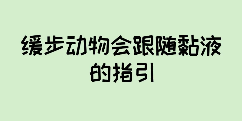 缓步动物会跟随黏液的指引