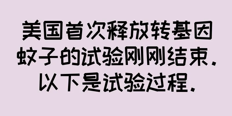 美国首次释放转基因蚊子的试验刚刚结束。以下是试验过程。