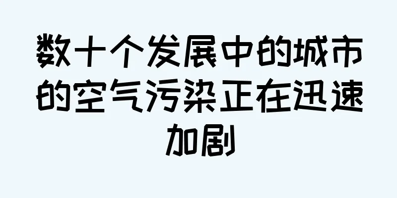 数十个发展中的城市的空气污染正在迅速加剧
