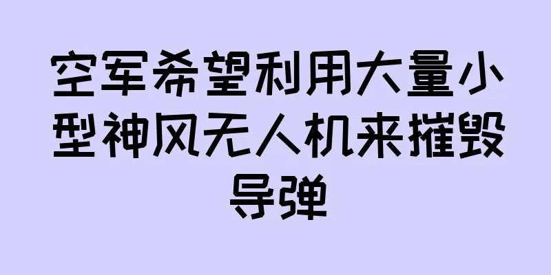 空军希望利用大量小型神风无人机来摧毁导弹