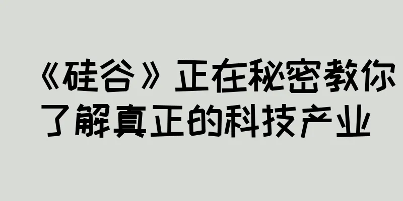 《硅谷》正在秘密教你了解真正的科技产业