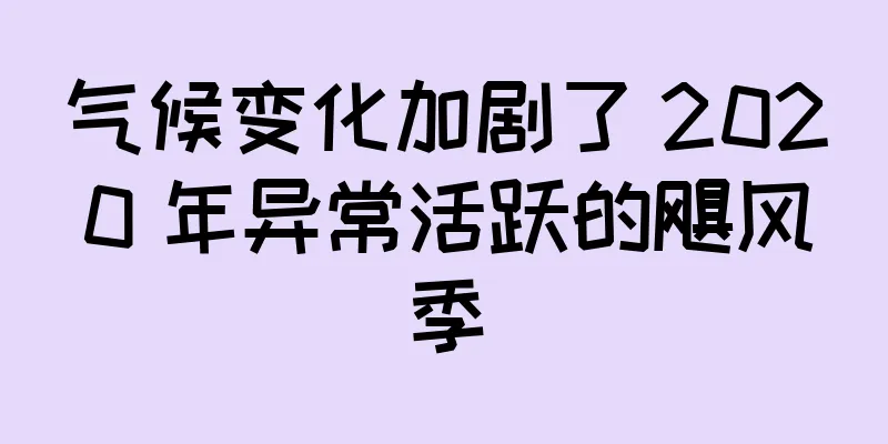 气候变化加剧了 2020 年异常活跃的飓风季