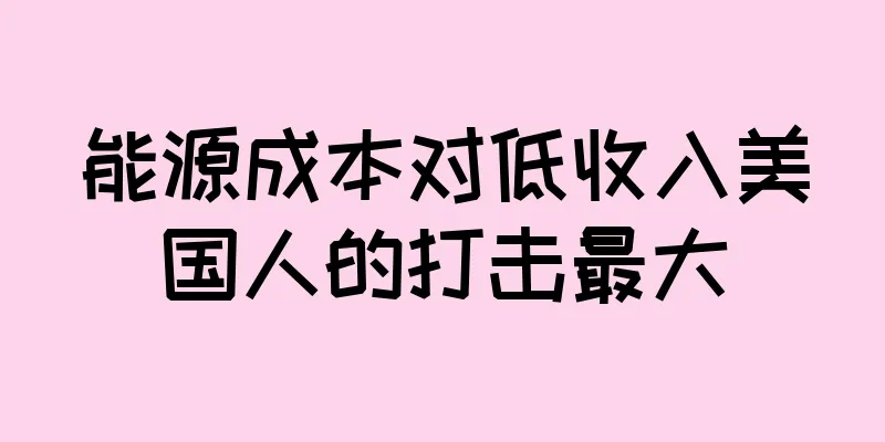 能源成本对低收入美国人的打击最大