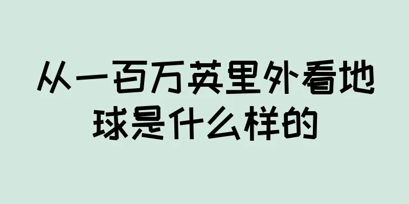 从一百万英里外看地球是什么样的