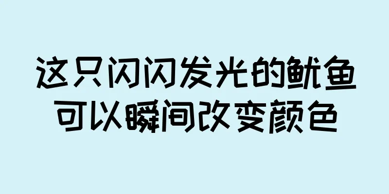 这只闪闪发光的鱿鱼可以瞬间改变颜色