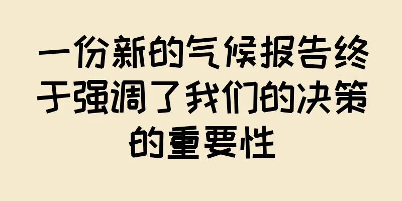 一份新的气候报告终于强调了我们的决策的重要性