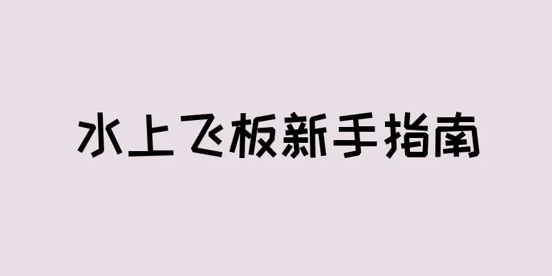 水上飞板新手指南