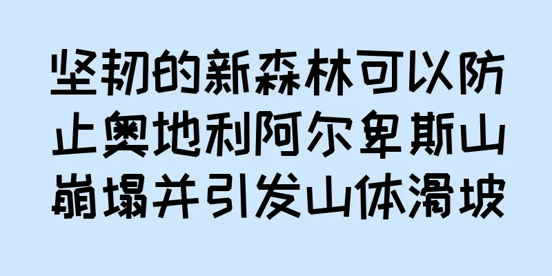 坚韧的新森林可以防止奥地利阿尔卑斯山崩塌并引发山体滑坡